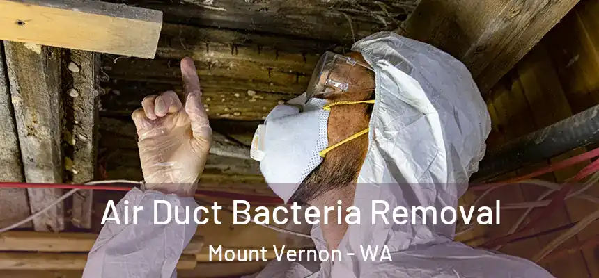  Air Duct Bacteria Removal Mount Vernon - WA