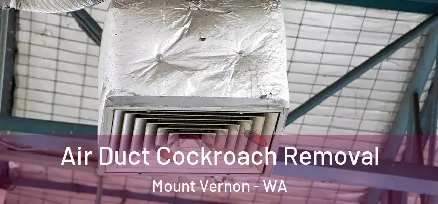 Air Duct Cockroach Removal Mount Vernon - WA