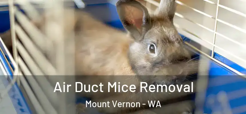 Air Duct Mice Removal Mount Vernon - WA