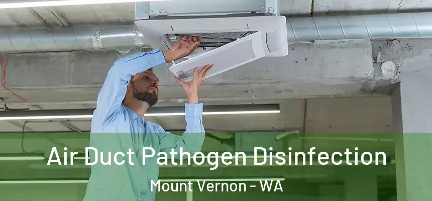 Air Duct Pathogen Disinfection Mount Vernon - WA