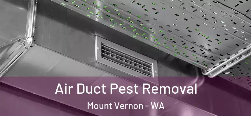 Air Duct Pest Removal Mount Vernon - WA