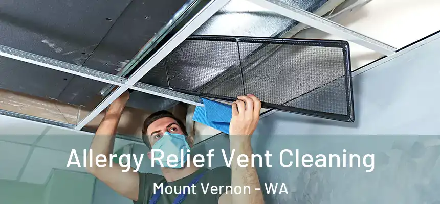 Allergy Relief Vent Cleaning Mount Vernon - WA
