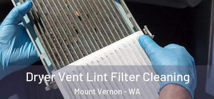 Dryer Vent Lint Filter Cleaning Mount Vernon - WA