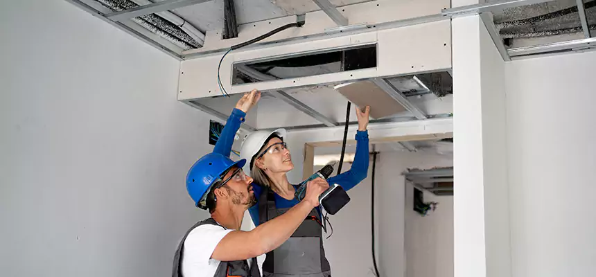 Our Air Duct Virus Disinfection Services in Mount Vernon, WA