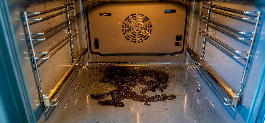 Our Air Purifier Installation Services in Mount Vernon, WA