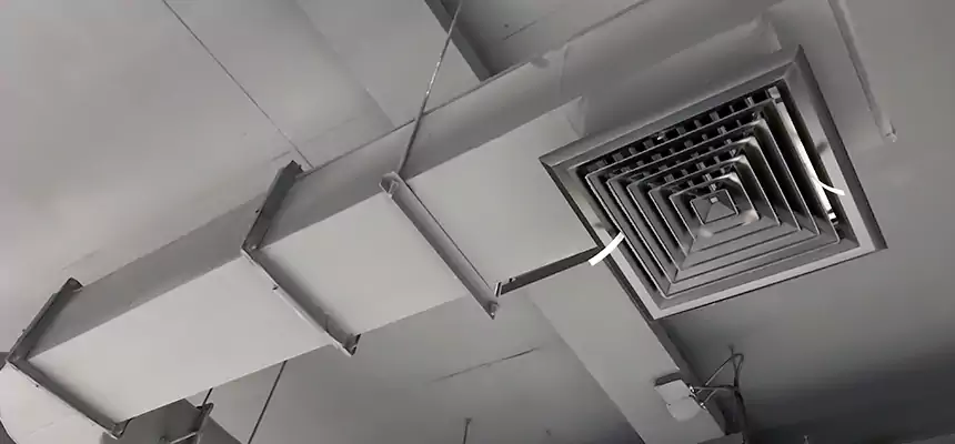 Our Pest Removal From Ducts Services in Mount Vernon, WA