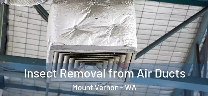 Insect Removal from Air Ducts Mount Vernon - WA