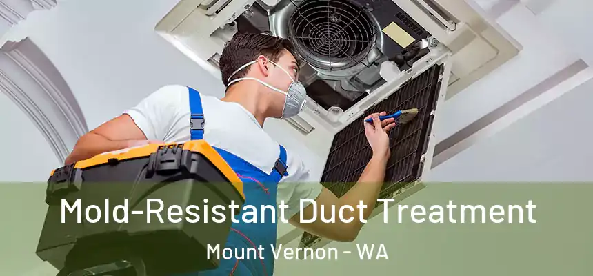 Mold-Resistant Duct Treatment Mount Vernon - WA