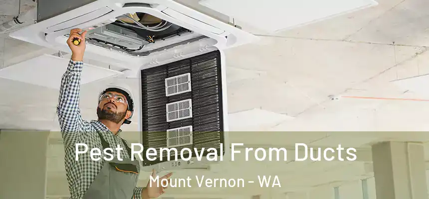  Pest Removal From Ducts Mount Vernon - WA