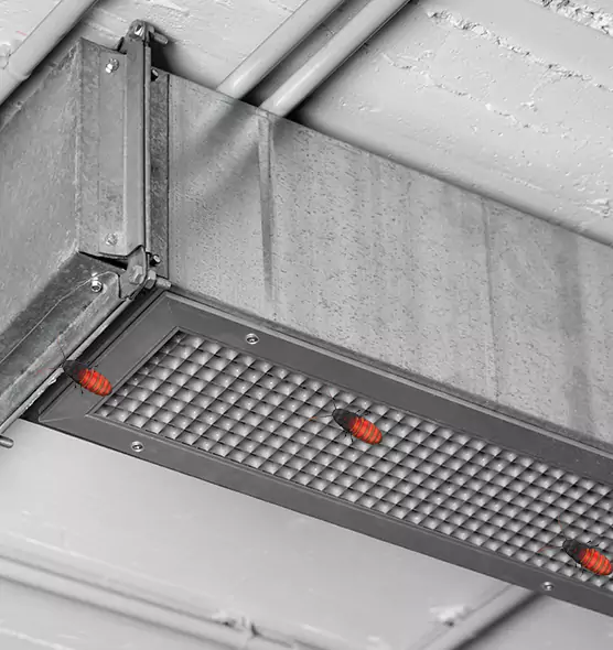 About Air Duct Cockroach Removal in Mount Vernon, WA