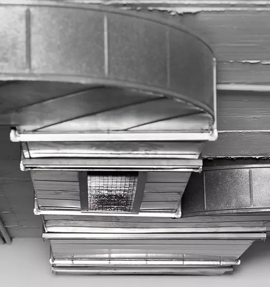 Professional Air Duct Pet Hair Removal in Mount Vernon, WA