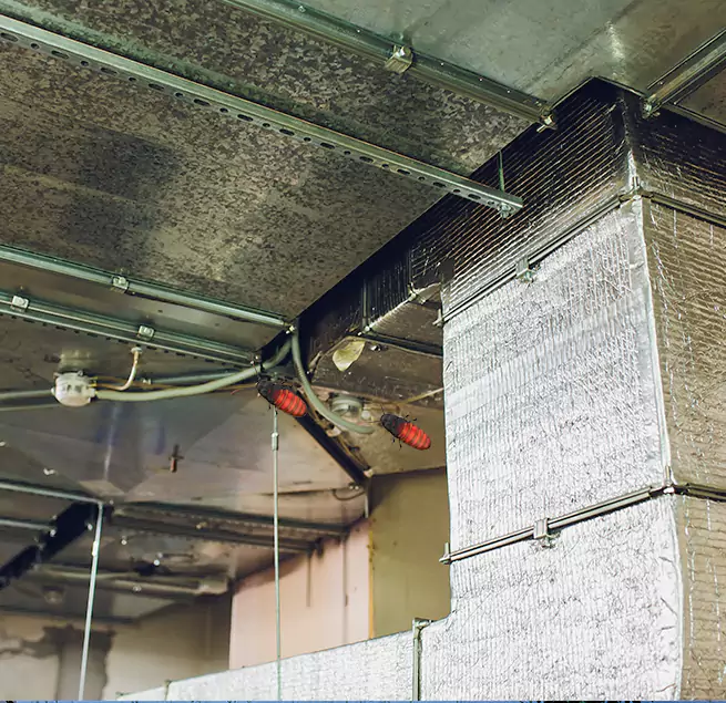 Why Homeowners & Businesses Trust Us in Mount Vernon, WA?