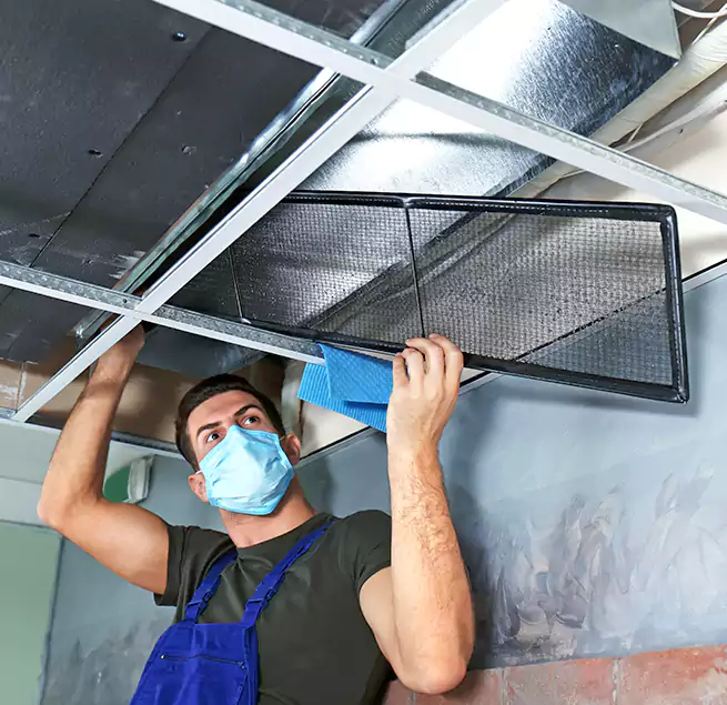 Why Homeowners Businesses Trust Us in Mount Vernon, WA