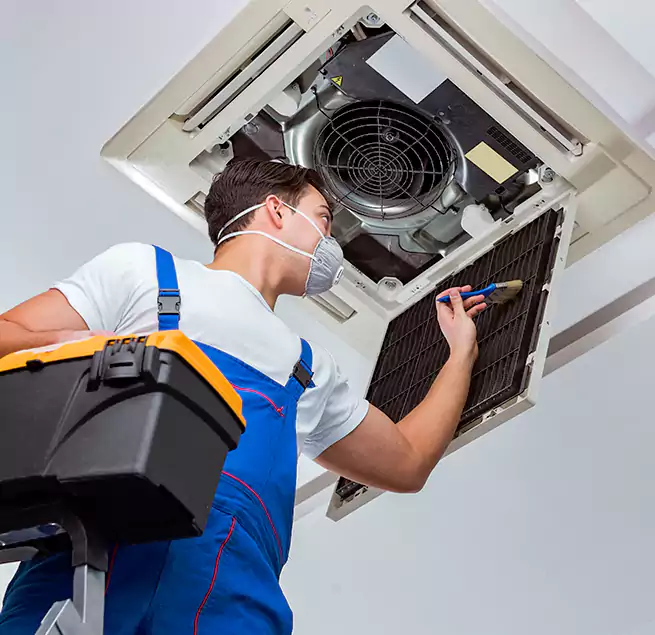 Why Homeowners & Businesses Trust Us in Mount Vernon, WA