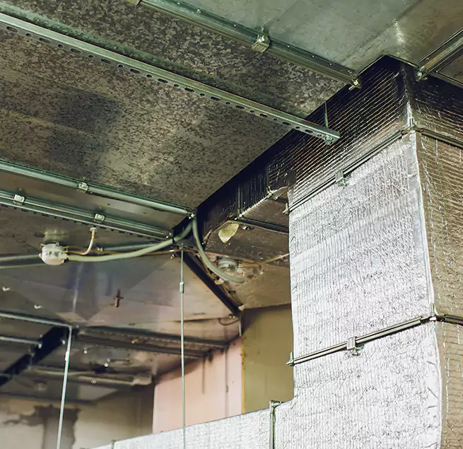 Why Homeowners & Businesses Trust Us in Mount Vernon, WA?